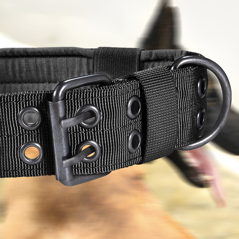 collier chien couleur noir points ajustable