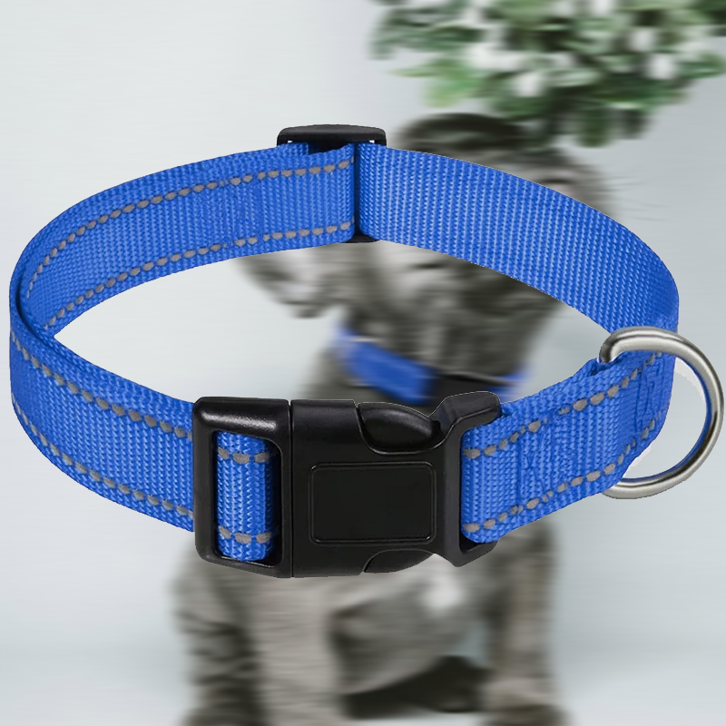 collier chien reflechissant en nylon bleu