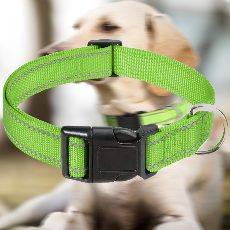 collier chien reflechissant en nylon vert