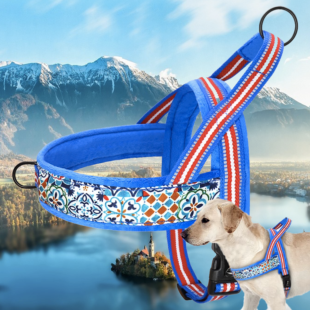 harnais anti traction chien bleu rouge