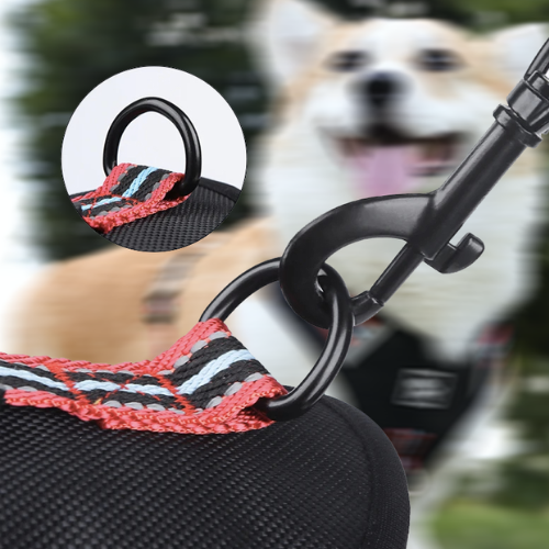 harnais anti traction chien boucle pour laisse