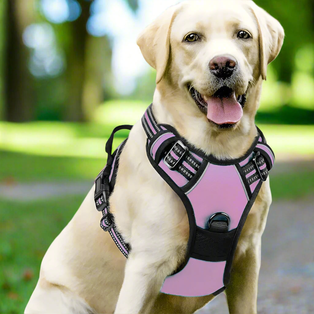 harnais anti traction chien dogytrac rose