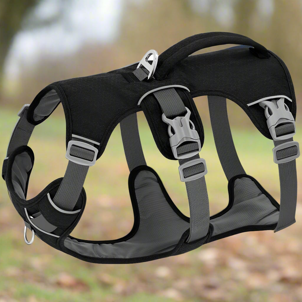 harnais anti traction chien freetrack noir