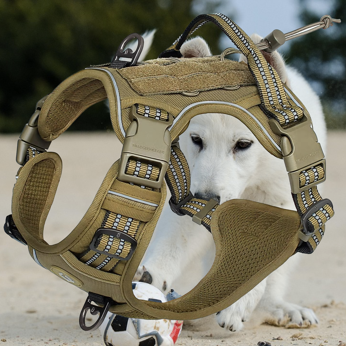 harnais anti traction chien harntrack kaki fonce
