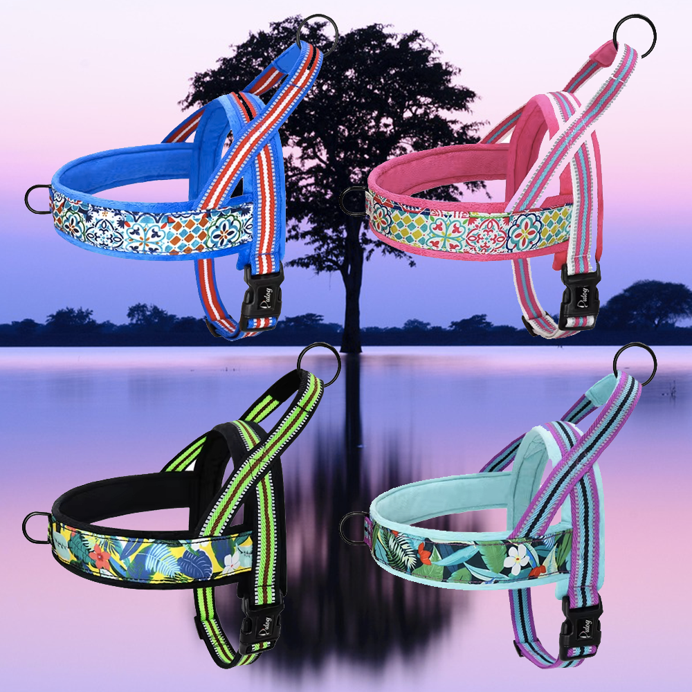 harnais anti traction chien quatre coloris