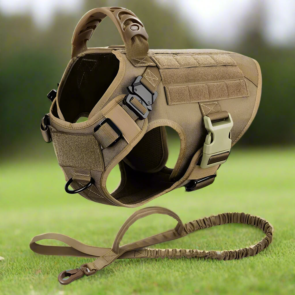 harnais anti traction chien safety avec la laisse