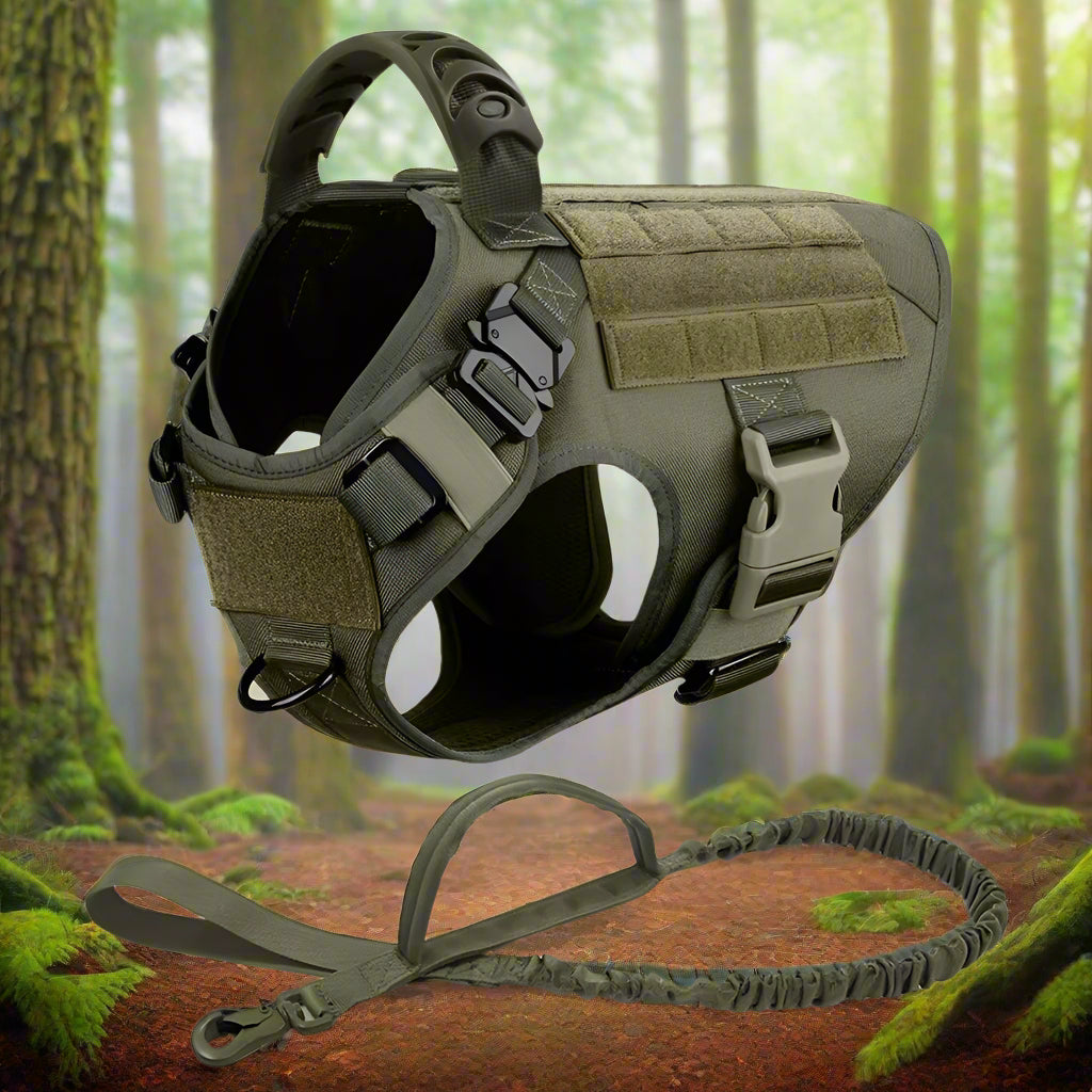 harnais anti traction chien safety kaki avec la laisse