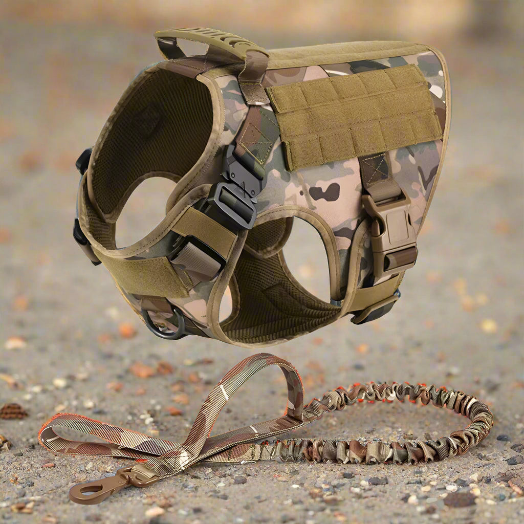 harnais anti traction chien safety militaire avec laisse