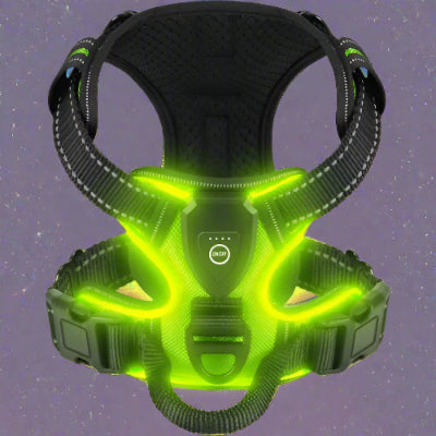 harnais anti traction chien tracklight vert de nuit