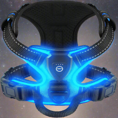 harnais anti tration chien tracklight bleu