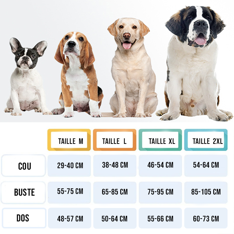 harnais canicross runydog guide taille