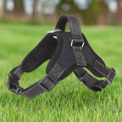 harnais chien easywalk noir