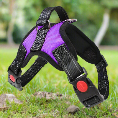 harnais chien easywalk violet