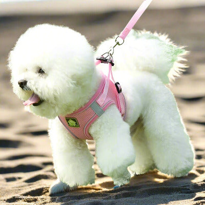 harnais pour chien | gambade™ - Trans'Canin
