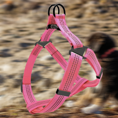 harnais pour chien rose sur fond flou