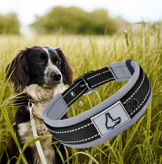 collier chien dogy noir details