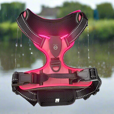 harnais anti traction chien tracklight rose