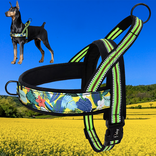harnais anti traction chien vert noir
