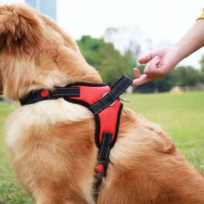 harnais chien easywalk poignee robuste